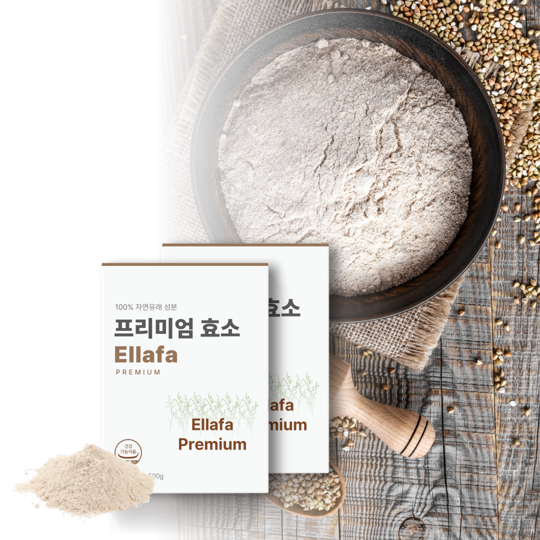 엘라파효소 메인